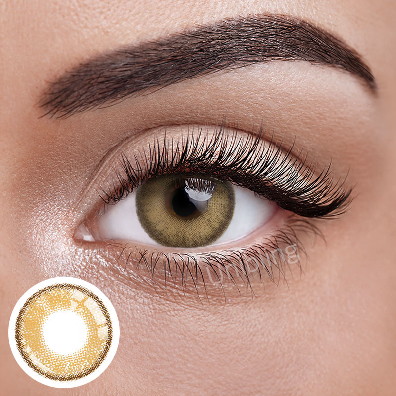 Unibling Dubai Brown (1-Year)